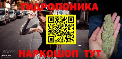 молекула духа Гатчина
