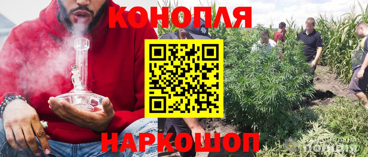 Бошки марихуана SATIVA & INDICA Можайск